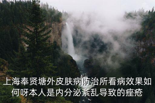 上海奉賢塘外皮膚病防治所看病效果如何呀本人是內(nèi)分泌紊亂導(dǎo)致的痤瘡