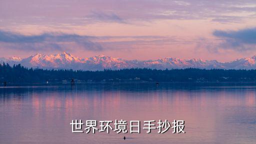 世界環(huán)境日手抄報(bào)