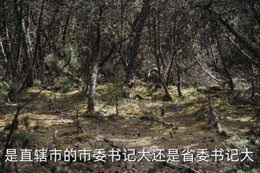 是直轄市的市委書記大還是省委書記大