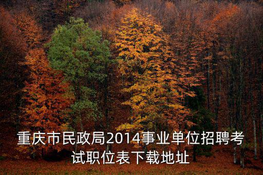 重慶市民政局2014事業(yè)單位招聘考試職位表下載地址