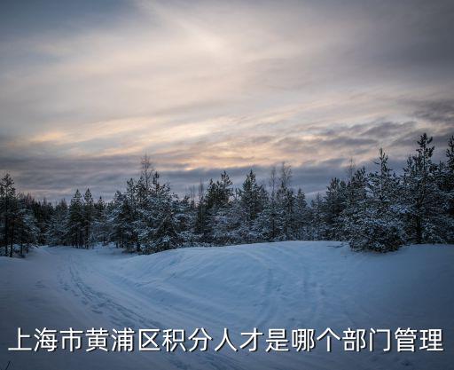 上海市黃浦區城管協管員工，有誰知道上海黃浦區職業介紹所南車站路525號的電話是多少想