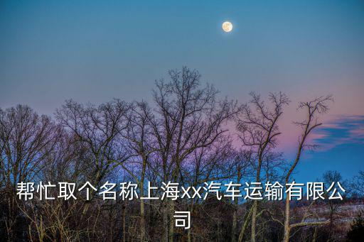 幫忙取個名稱上海xx汽車運輸有限公司