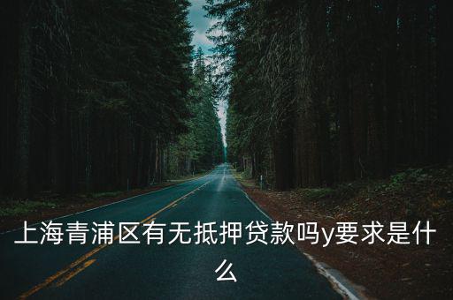 上海青浦區(qū)有無抵押貸款嗎y要求是什么