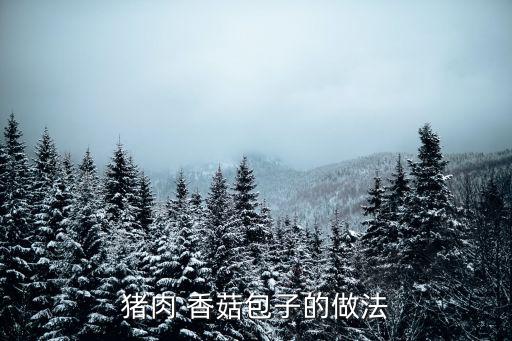 豬肉 香菇包子的做法