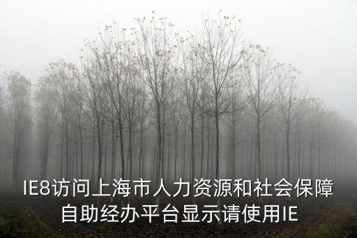 IE8訪問上海市人力資源和社會保障自助經辦平臺顯示請使用IE