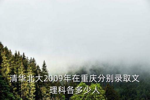 重慶市璧山區考上清華人數，2010年重慶清華中學上重點大學的人數