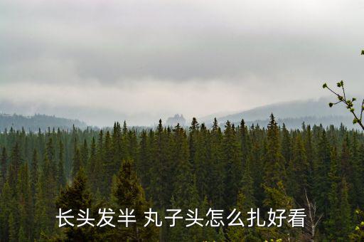 長頭發半 丸子頭怎么扎好看