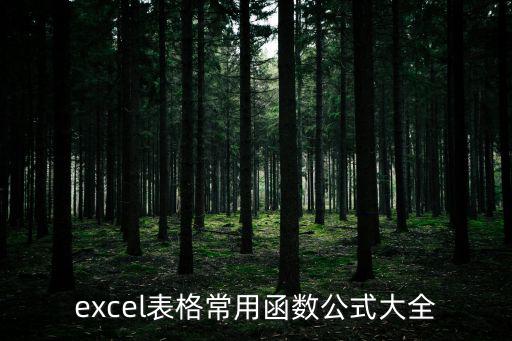 excel表格常用函數公式大全