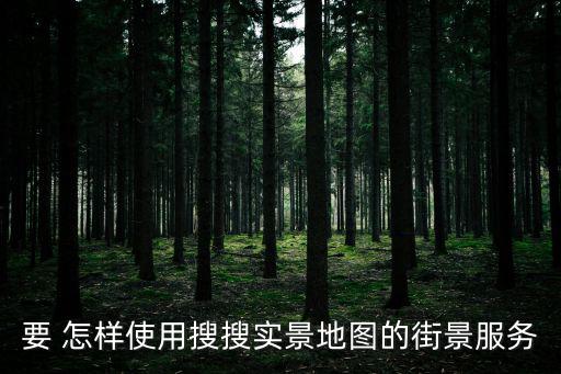 要 怎樣使用搜搜實景地圖的街景服務