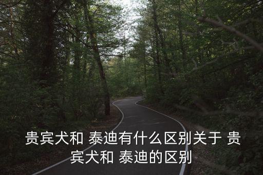  貴賓犬和 泰迪有什么區別關于 貴賓犬和 泰迪的區別
