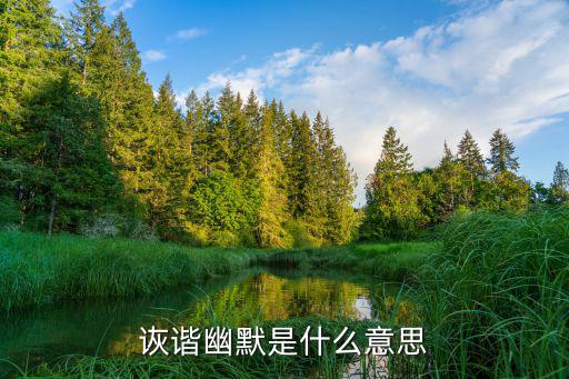 詼諧幽默是什么意思