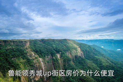 魯能領秀城up街區房價為什么便宜