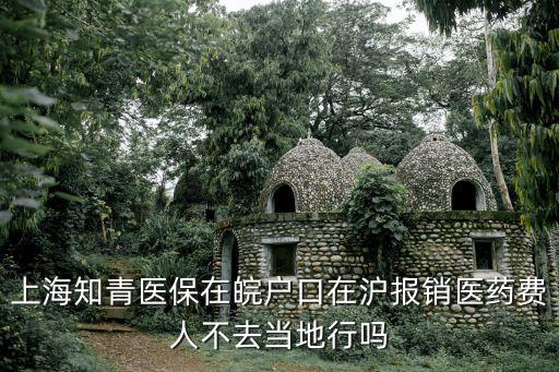 上海知青醫保在皖戶口在滬報銷醫藥費人不去當地行嗎