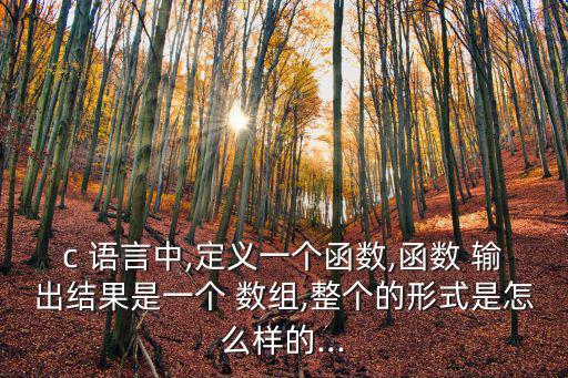 c 語(yǔ)言中,定義一個(gè)函數(shù),函數(shù) 輸出結(jié)果是一個(gè) 數(shù)組,整個(gè)的形式是怎么樣的...