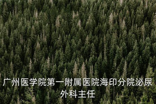 廣州醫(yī)學(xué)院第一附屬醫(yī)院海印分院泌尿外科主任