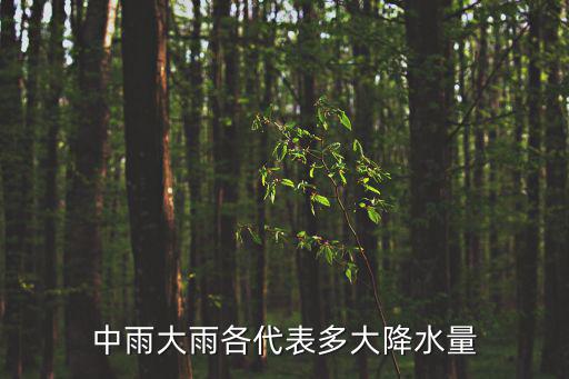 中雨大雨各代表多大降水量