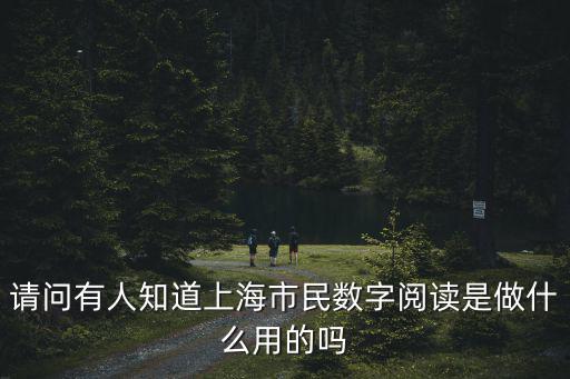請問有人知道上海市民數字閱讀是做什么用的嗎