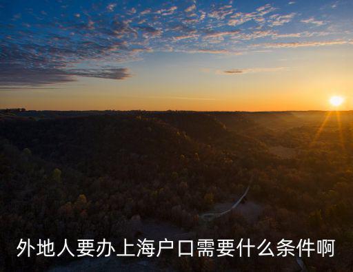 符合什么條件可以在上海落戶，我想入上海的戶口有什么條件嗎