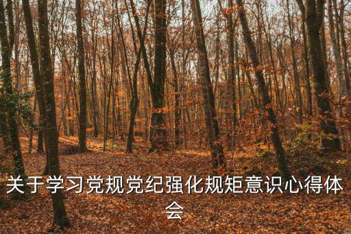 關于學習黨規黨紀強化規矩意識心得體會