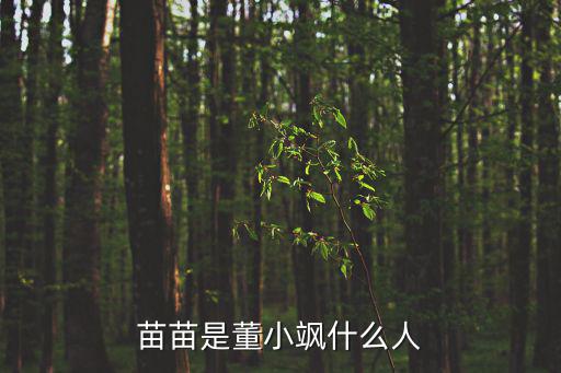 苗苗個人照片，網絡紅人HERA苗苗