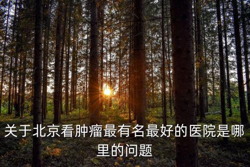 關(guān)于北京看腫瘤最有名最好的醫(yī)院是哪里的問(wèn)題