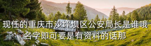 重慶市余兆偉，在重慶地區治療白殿瘋的醫院