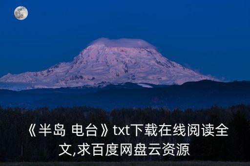 《半島 電臺》txt下載在線閱讀全文,求百度網盤云資源
