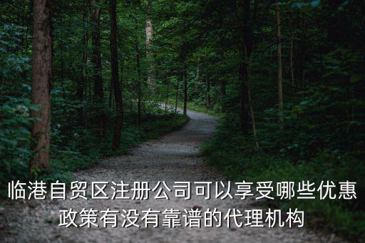 臨港自貿(mào)區(qū)注冊公司可以享受哪些優(yōu)惠政策有沒有靠譜的代理機(jī)構(gòu)