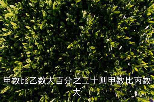 大肉粽子，甲數(shù)比乙數(shù)大百分之二十則甲數(shù)比丙數(shù)大