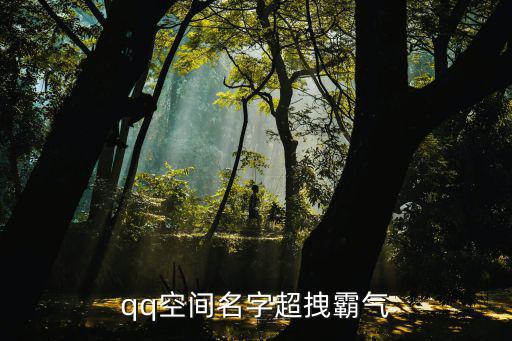 qq空間名字超拽霸氣