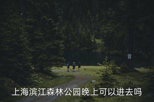 上海濱江森林公園晚上可以進去嗎