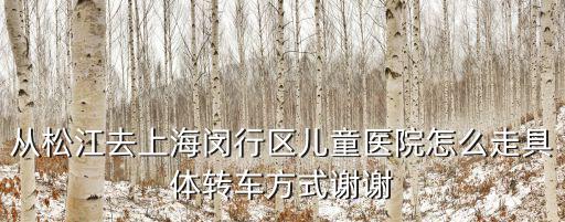 從松江去上海閔行區兒童醫院怎么走具體轉車方式謝謝
