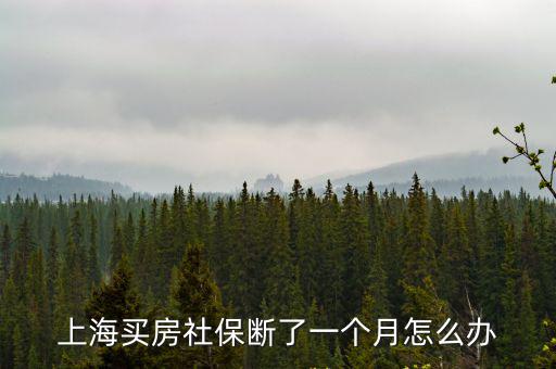 上海市房屋置保，上海房屋托管公司在哪