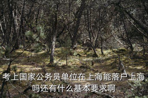 考上國家公務員單位在上海能落戶上海嗎還有什么基本要求啊