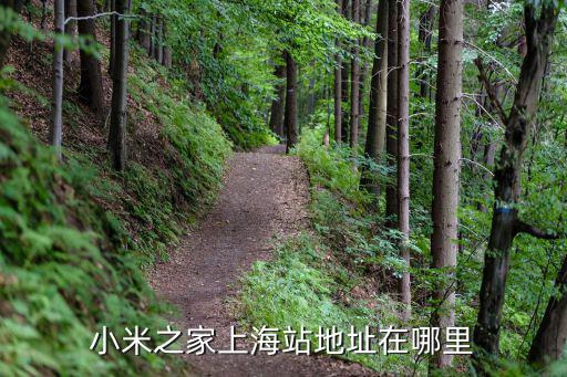 小米之家上海站地址在哪里