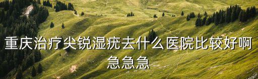 重慶市哪個醫院治濕疣最好，重慶治療尖銳濕疣去什么醫院比較好啊急急急