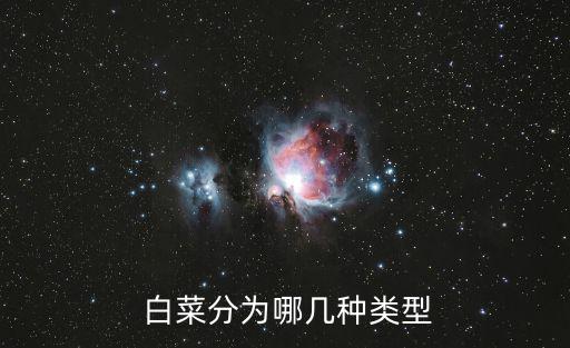  白菜分為哪幾種類型