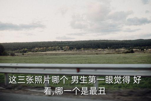 這三張照片哪個 男生第一眼覺得 好看,哪一個是最丑