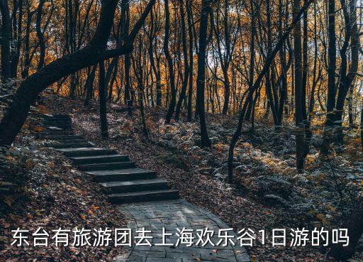東臺有旅游團去上海歡樂谷1日游的嗎