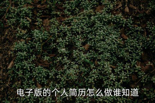 電子版的個人簡歷怎么做誰知道