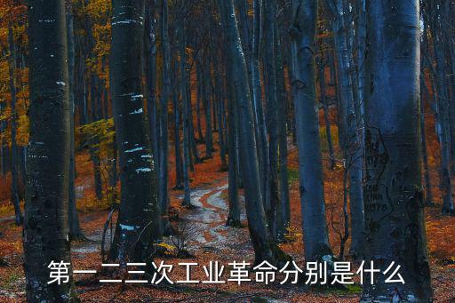 三次工業革命，第三次工業革命叫什么