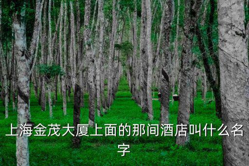 上海金茂大廈上面的那間酒店叫什么名字