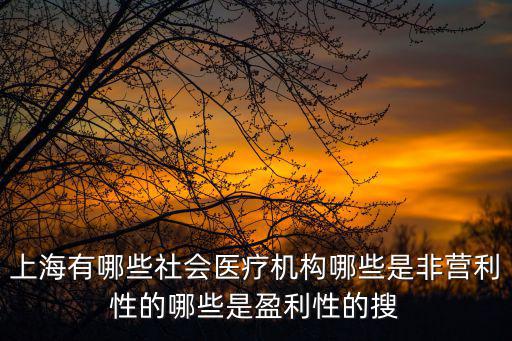 上海有哪些社會醫療機構哪些是非營利性的哪些是盈利性的搜