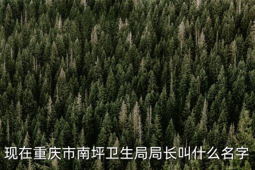 現(xiàn)在重慶市南坪衛(wèi)生局局長(zhǎng)叫什么名字
