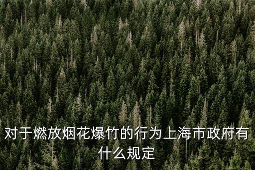 對于燃放煙花爆竹的行為上海市政府有什么規定