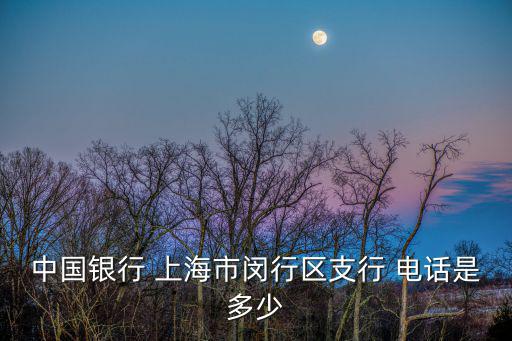 中國銀行 上海市閔行區(qū)支行 電話是多少