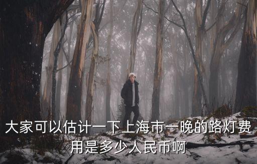 大家可以估計一下上海市一晚的路燈費用是多少人民幣啊