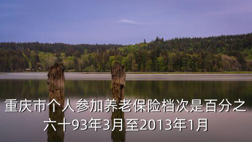 重慶市個人參加養老保險檔次是百分之六十93年3月至2013年1月