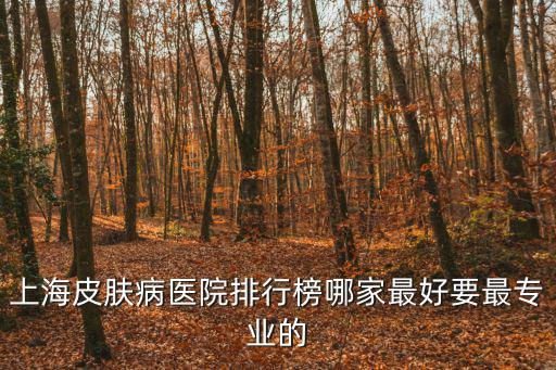 上海皮膚病醫院排行榜哪家最好要最專業的