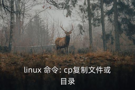linux 命令: cp復制文件或目錄